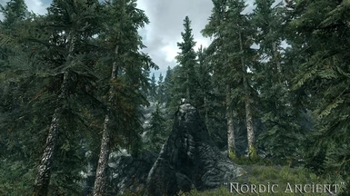 Nordic Ancient Pine