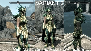 Splinter Armor Variant 2 Female