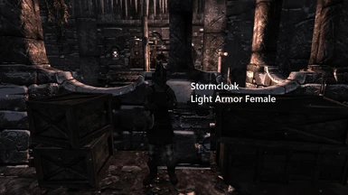 Beta Light Armor Female