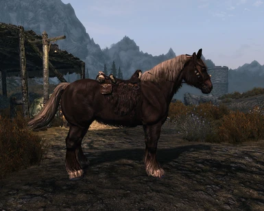 Myrkvind with saddle spawned via console