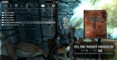 Spell tomes are sold by Tolfdir