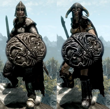 Companions Wolf Armor and Ancient Nord Shields