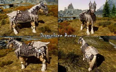 Dragonbone Armor