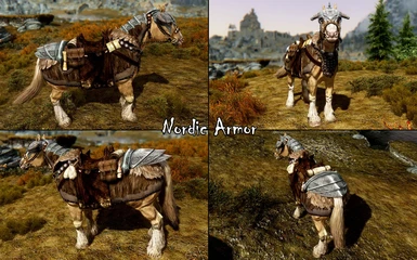 Nordic Armor