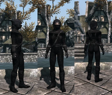 Shrouded Armor - True Assassin at Skyrim Nexus - Mods and Community