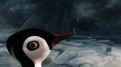 pingouin base