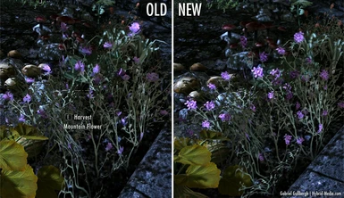 Hybrids HD Plants and Herbs Retexture