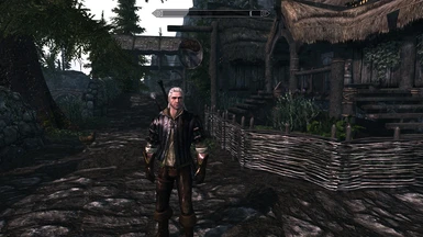 Geralts Leather jacket from The Witcher2