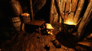 The key and journal in the mine
