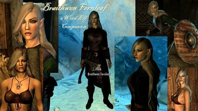 Braithwen Fernleaf -Wood Elf Companion-