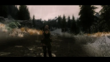 With Raindrops option D plus Climates of Tamriel and the Wilds ENB