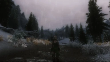 Raindrops D with Synergy ENB