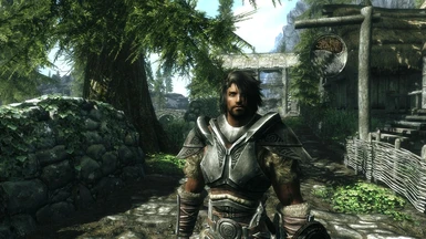 Attractive Nord Male Follower at Skyrim Nexus - Mods and Community