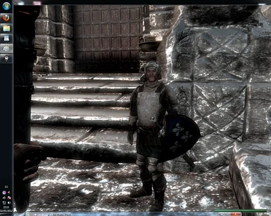 Windhelm Guard 2