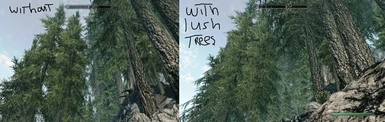 Lush Trees