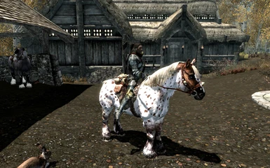 New Player Horse