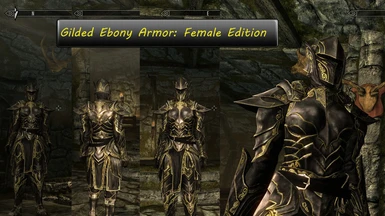 Female Gilded Armor