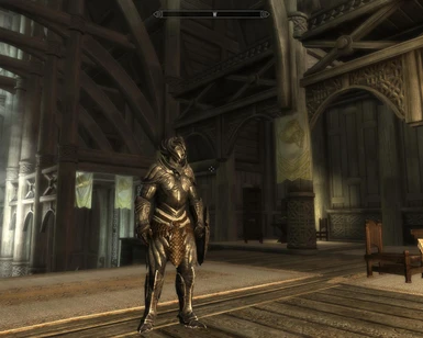 Metalic Elven Armor with Leather Scales