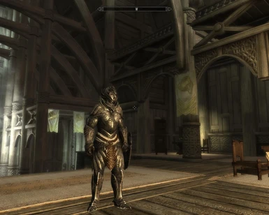 Metalic Elven Armor with Leather and Metalic Scales