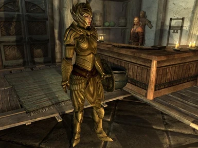 Female Heavy Elven Armor