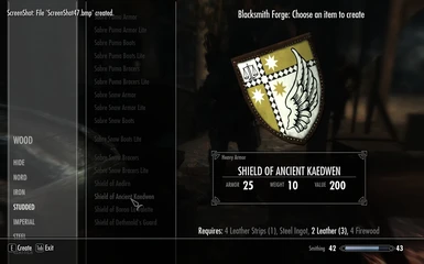 Ancient Kaedwen Shield
