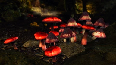 Mushroom Hunting 2