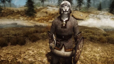 Viking Chainmail Armor