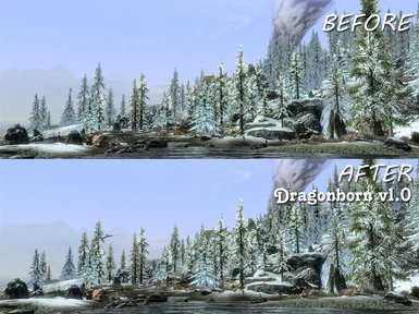 Dragonborn DLC version