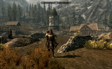 Aela With Shield