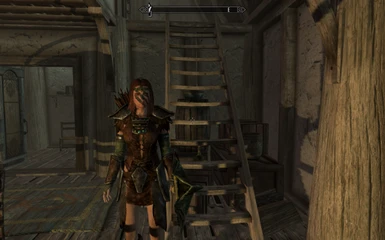 Aela With Nordic Armour