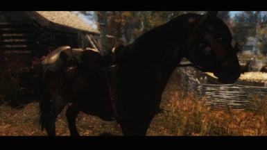 hunter saddle with slofs horse skin - love it