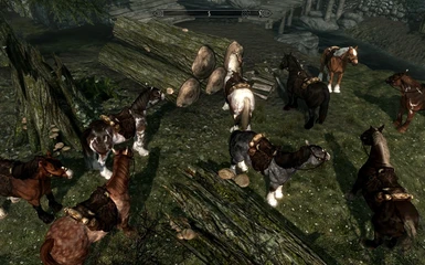 Some Horses