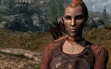 Female Modesty Skin at Skyrim Nexus - Mods and Community