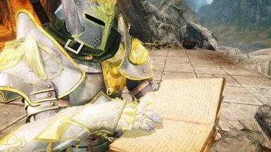 I like these gauntlets better with the lost paladin set