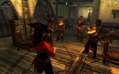many pirate armor cloths