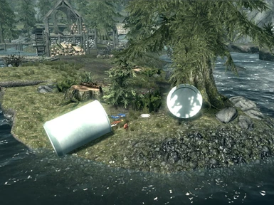 Toa Canister ashore in the Riverwood