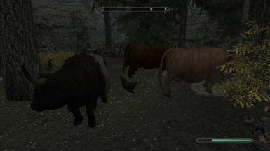 Cows with Automatic Variants