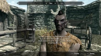 English Strings for Skyrim - Character Creation Example