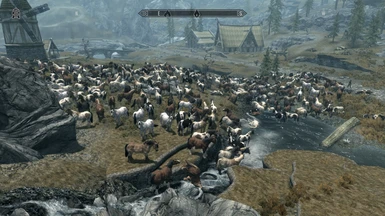 Now that is a herd