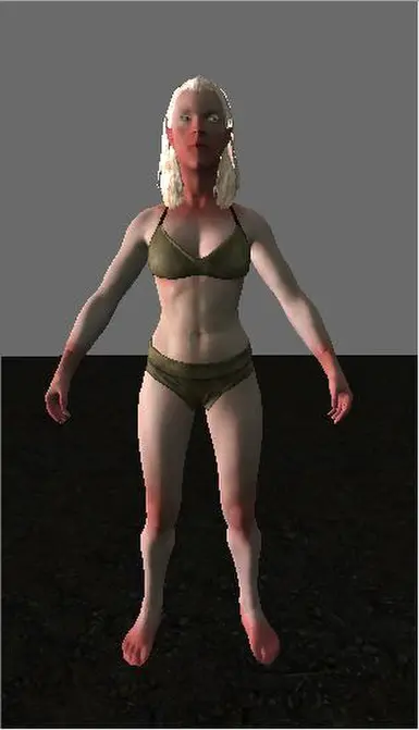 The female snow elf as seen in the creation kit