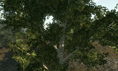 Tree 22