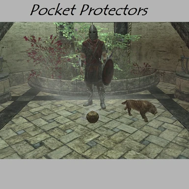 Pocket Protectors