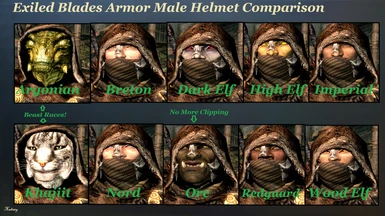 Male Race Helmet Comparison