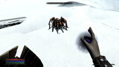Frostbite Spider
