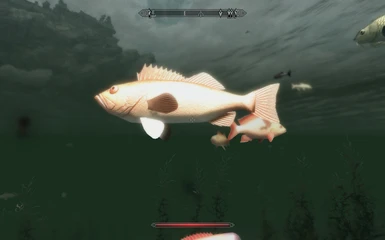 Auf Fischjagd