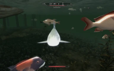 Kampf mit dem Hai