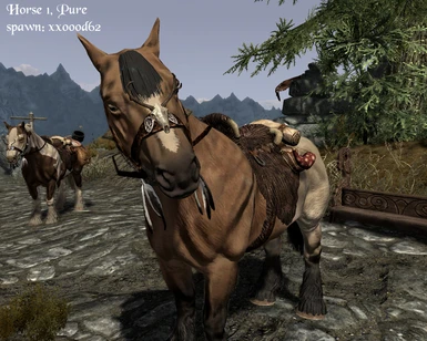 Horse 1 pure saddle