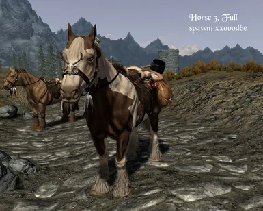 Horse 3 full saddle