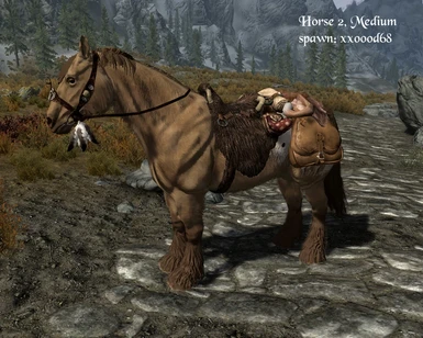 Horse 2 medium saddle