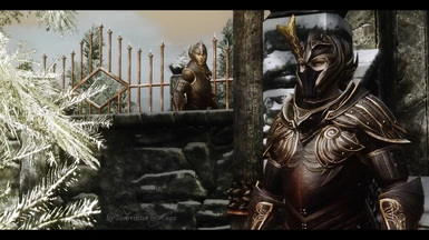 Thalmor soldiers